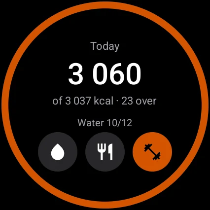 Wear OS Today screen with 3,060 of 3,037 kcal, water 10 of 12 and buttons for water, meals and a workout